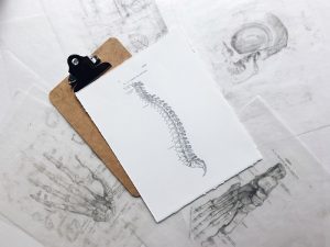 low back pain personal training